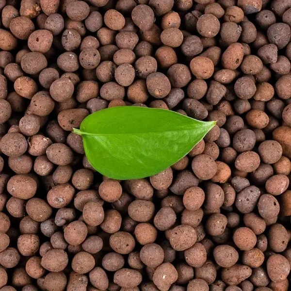 1LB Reusable Hydroponic Clay Pebbles Natural Hydroponic Growing