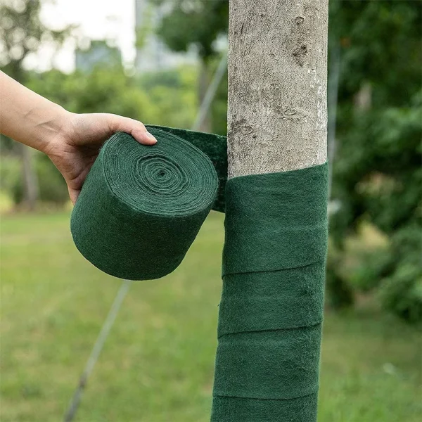 Winter wrapped tree cloth, sun protection and antifreeze wrap.