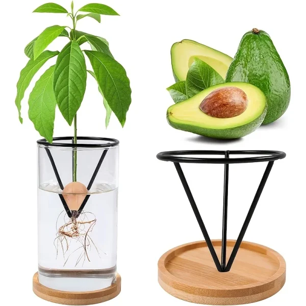 2 Hydroponic Seed Support Pots
